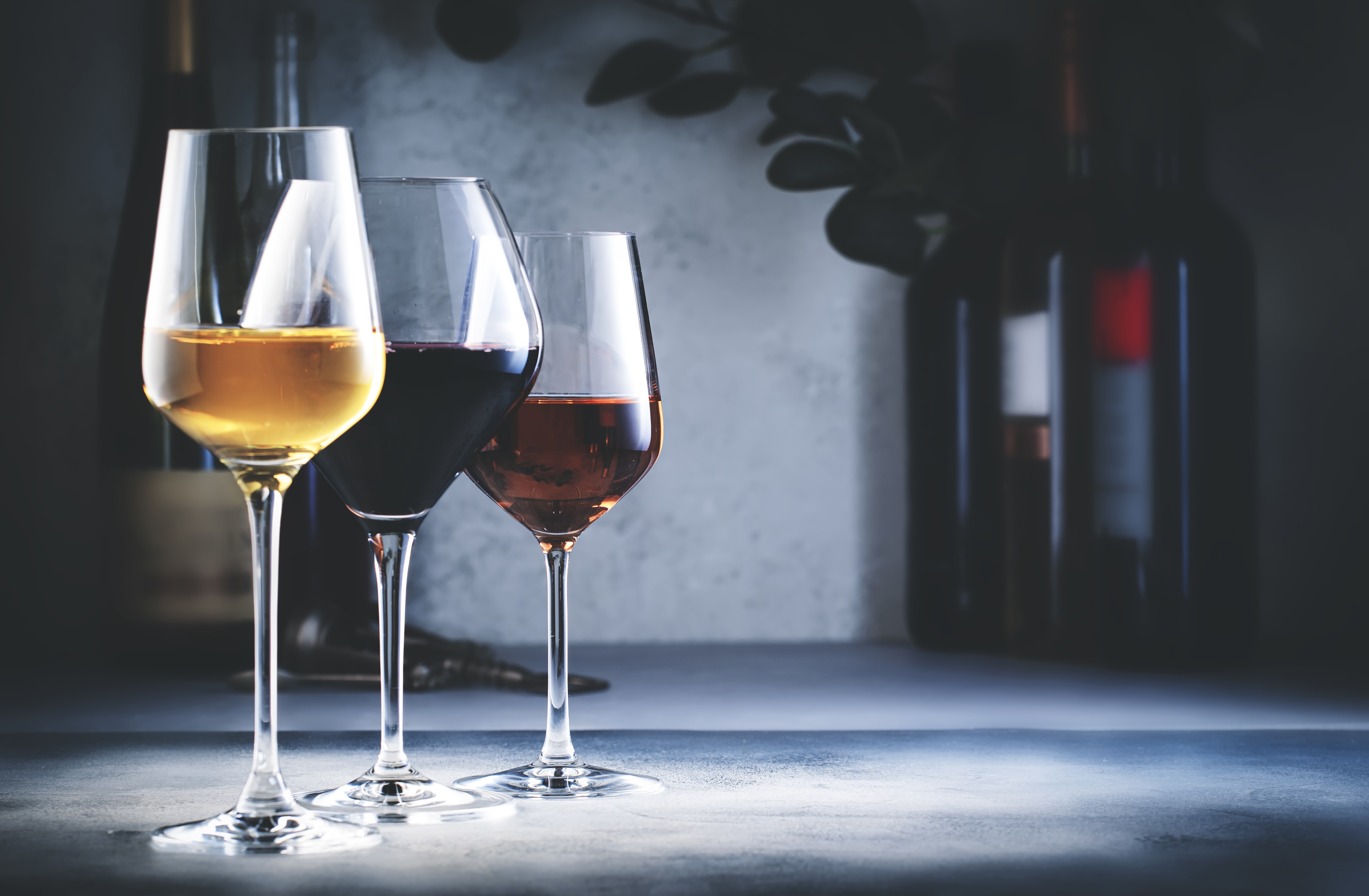 L'histoire de Wine Not?